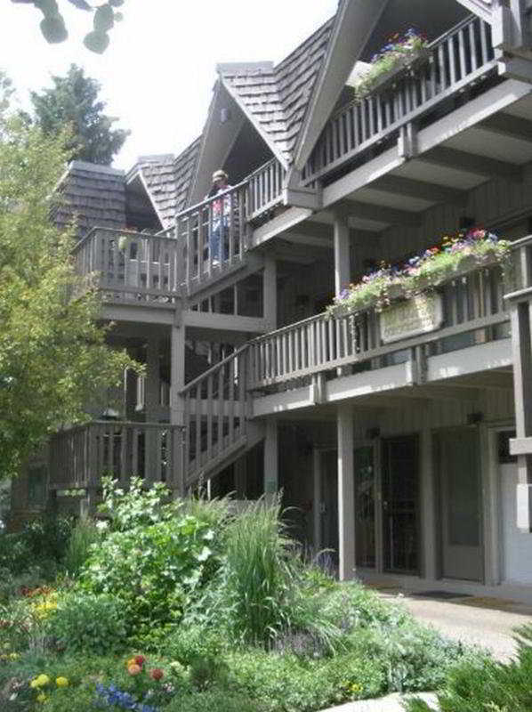 210 Cooper Aspen Exterior foto