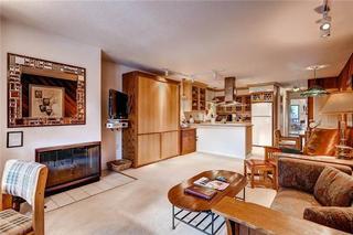 210 Cooper Aspen Exterior foto